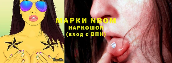 стафф Зеленокумск