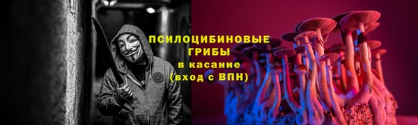 стафф Зеленокумск