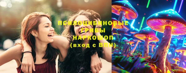 стафф Зеленокумск