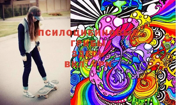 дмт Зеленодольск