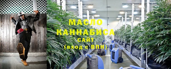 дмт Зеленодольск