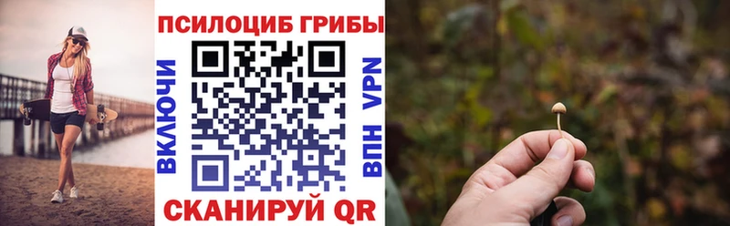 Псилоцибиновые грибы GOLDEN TEACHER  Купить  Новоульяновск 